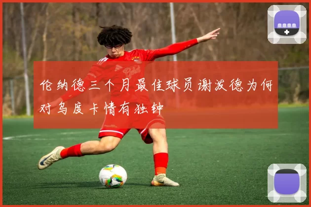 伦纳德三个月最佳球员谢泼德为何对乌度卡情有独钟