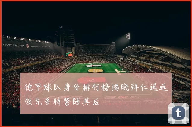 德甲球队身价排行榜揭晓拜仁遥遥领先多特紧随其后